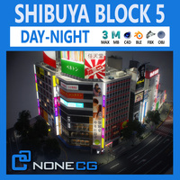 Tokyo Shibuya Block 5 3D Model