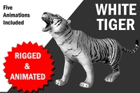 White Tiger with animation 3D Model