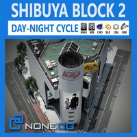Tokyo Shibuya Block 2 3D Model