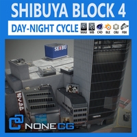 Tokyo Shibuya Block 4 3D Model
