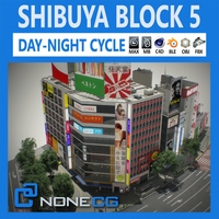 Tokyo Shibuya Block 5 3D Model