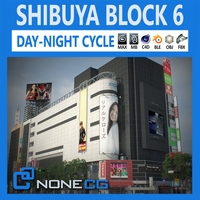 Tokyo Shibuya Block 6 3D Model