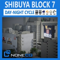 Tokyo Shibuya Block 7 3D Model