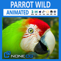 Animated Wild Parrot 3D Model