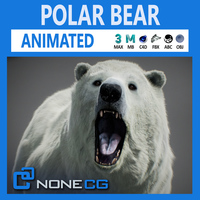 Animated Polar Bear 3D Model