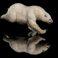 Polar Bear Animated 3D Model