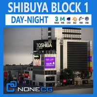 Tokyo Shibuya Block 1 3D Model