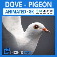 Animated White Dove 3D Model