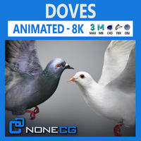 Doves Animated 3D Model
